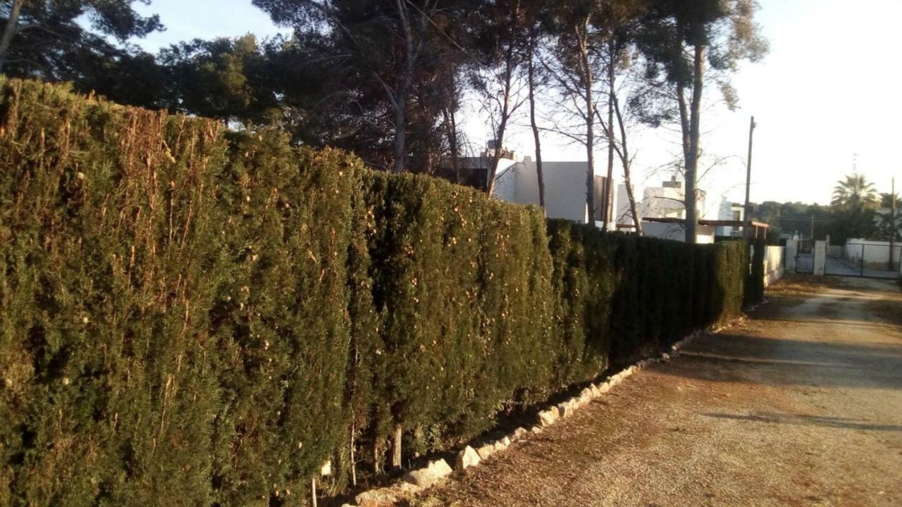Apartament Pinomar Teulada Zewnętrze zdjęcie